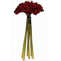 Herve Gambs Paris Diffuser Bouquet Amaryllis Red 68sm