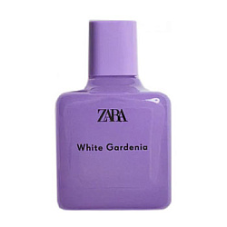 Zara White Gardenia