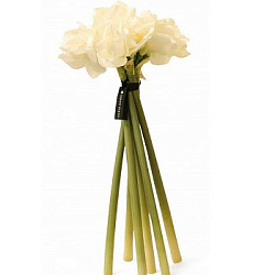 Herve Gambs Paris Diffuser Bouquet Amaryllis White 68sm