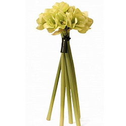 Herve Gambs Paris Diffuser Bouquet Amaryllis Pistachio 68sm