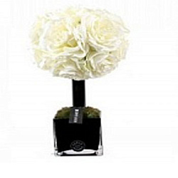 Herve Gambs Paris Diffuser Tree 50 sm White Rose cube noir