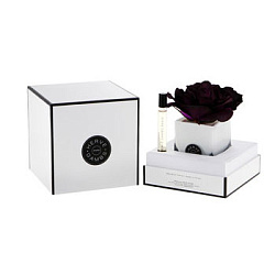 Herve Gambs Paris Рrune Rose - Черный Куб + Ecorce Fauve Parfum 10 мл.