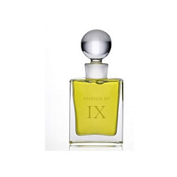 Strange Invisible Perfumes Essence of IX