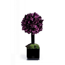 Herve Gambs Paris Diffuser 40 Purple Orchids 25*55 см
