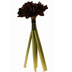 Herve Gambs Paris Diffuser Bouquet Amaryllis Plum 68sm