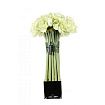 Herve Gambs Paris Diffuser Big White Bouquet Amaryllis Cube Noir