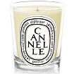 Diptyque Cannelle Candle