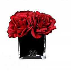 Herve Gambs Paris Big Diffuseur de Roses Red & Cube noir